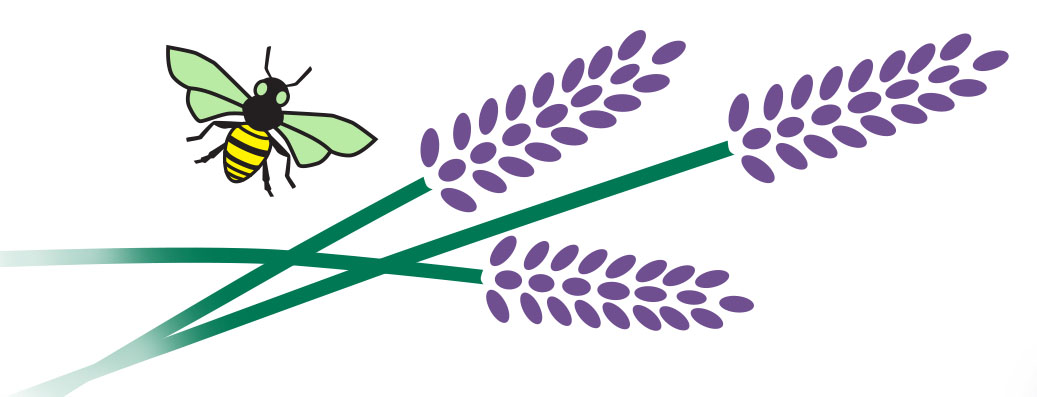 Helvetia Lavender Festival 2025